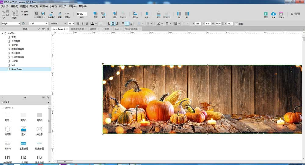 Axure RP 8.0快速导入图片的使用方法截图
