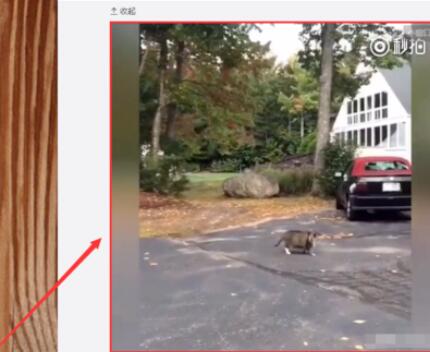 谷歌浏览器下载网页视频的详细教学截图