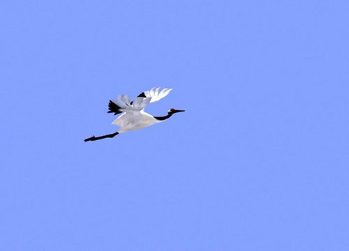 小编分享edius导入图片序列的操作步骤 小编分享列王纪下二十四章解经