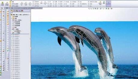 Solidworks绘制海豚的详细操作步骤截图