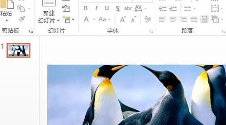 ppt2013填充背景图片的操作步骤截图