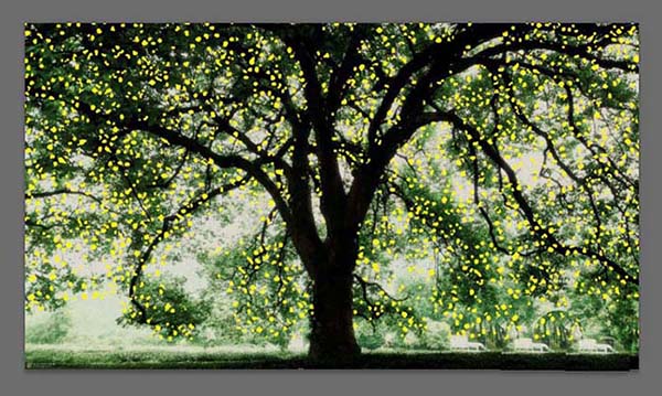 Adobe Photoshop给大树设计斑点光源的详细教学截图