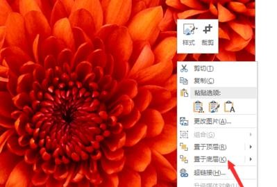 ppt2013编辑图片在文字下方的图文方法截图