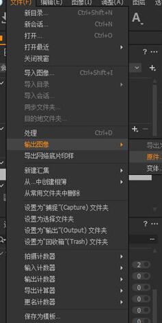 Capture One批量导出照片的操作方法截图