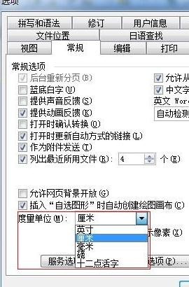 Word 2003中单位厘米的设置方法介绍截图