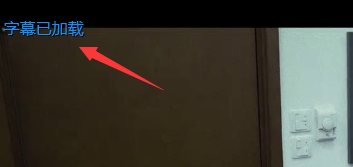 爱奇艺万能播放器手动添加字幕的具体方法截图