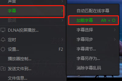 爱奇艺万能播放器中字幕的设置方法截图