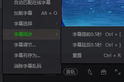 爱奇艺万能播放器中字幕的设置方法截图