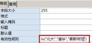 access为字段加上有效性的操作方法截图