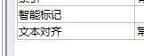 access中对字段进行智能标志的操作步骤截图
