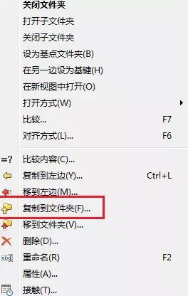 Beyond Compare文件复制的详细方法截图