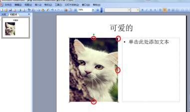 ppt2013设置弧形文字效果的操作方法截图