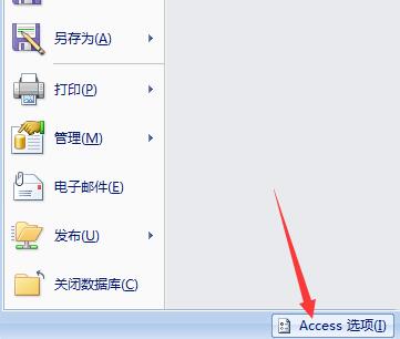 access数据库文档窗口设为选项卡式文档的操作方法截图