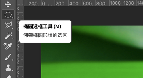 PS做出叶上水珠的详细步骤截图