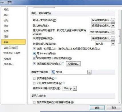 word2010中使用Insert粘贴键的操作内容截图