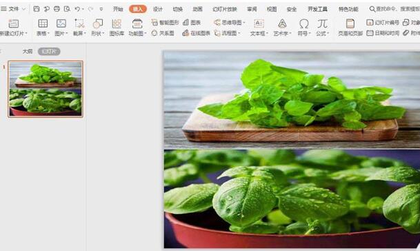 wps利用两张图片排版封面图的操作方法截图