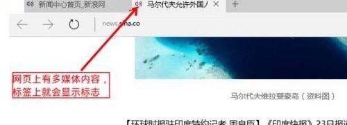 WIN10系统edge浏览器禁止flansh加载的方法截图