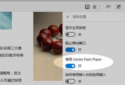 WIN10系统edge浏览器禁止flansh加载的方法截图