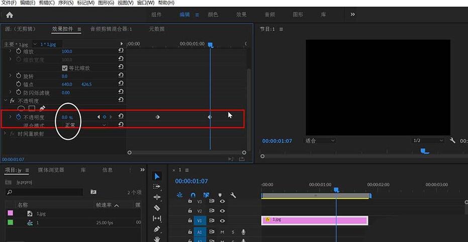 premiere制作画面逐渐转黑效果的过程截图