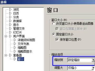 acdsee里打开图片自动缩放图片的处理技巧截图