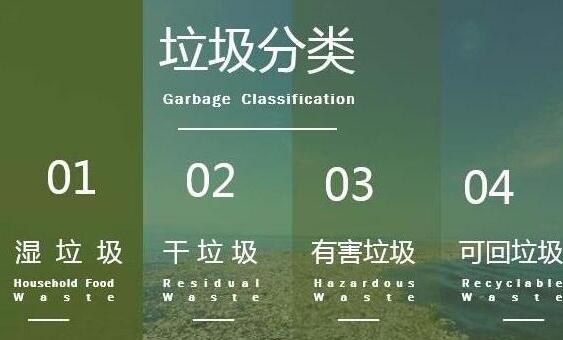 PPT做出垃圾分类宣传图的具体方法截图