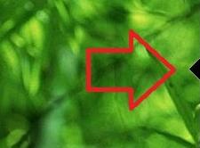 beoplayer中调整音量大小的操作过程截图