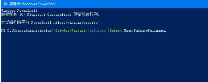 WIN10应用商店重新安装的详细步骤截图