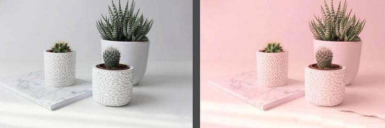 photoshop调粉色系色调的操作方法截图