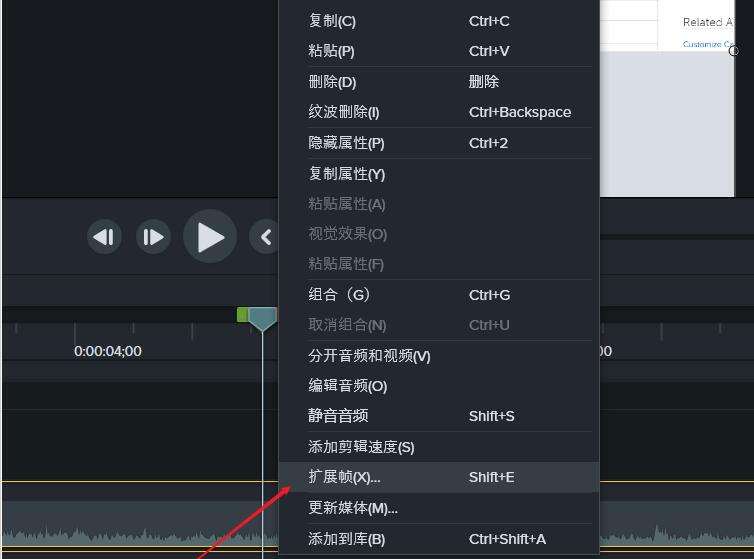Camtasia Studio增帧的操作方法截图