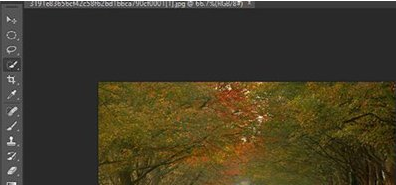 教你PS反选选区操作方法
