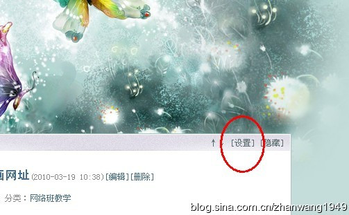 新浪博客博文设置成显示摘要的简单方法截图