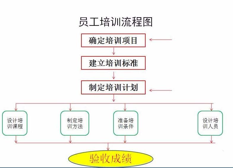 PPT怎样设计员工培训流程图 PPT设计员工培训流程图的详细步骤截图