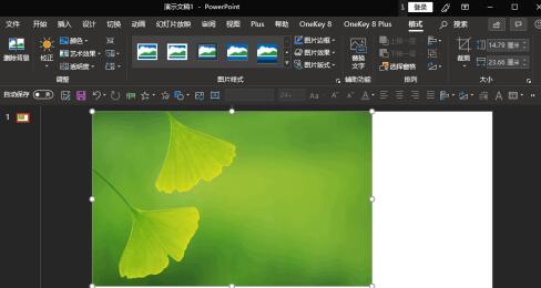 PPT如何插入的图片放到幻灯片中间位置 PPT中插入的图片放到幻灯片正中间位置的操作截图