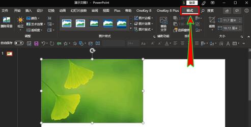 PPT如何插入的图片放到幻灯片中间位置 PPT中插入的图片放到幻灯片正中间位置的操作截图