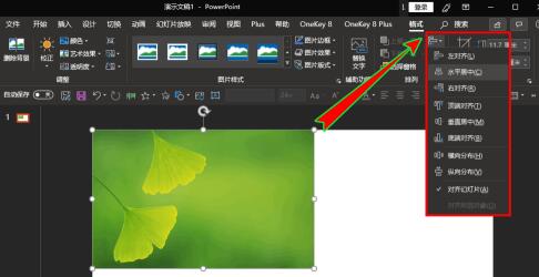 PPT如何插入的图片放到幻灯片中间位置 PPT中插入的图片放到幻灯片正中间位置的操作截图