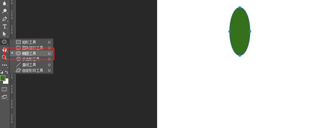 ps怎么手绘仙人掌矢量图?ps画卡通仙人掌插画的技巧截图