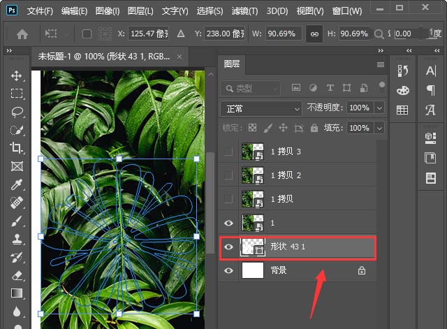 Photoshop中如何把图片弄成各种形状 Photoshop把图片变成其他形状教程截图