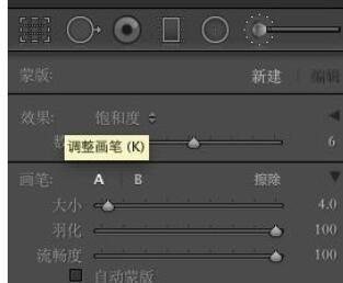 lightroom如何使用蒙版?lightroom使用蒙版方法截图