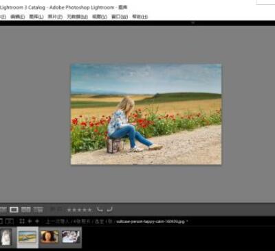 lightroom如何转换图片格式为dng?lightroom转换图片格式为dng的方法截图