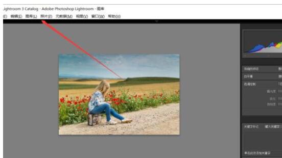 lightroom如何转换图片格式为dng?lightroom转换图片格式为dng的方法截图