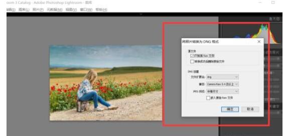 lightroom如何转换图片格式为dng?lightroom转换图片格式为dng的方法截图