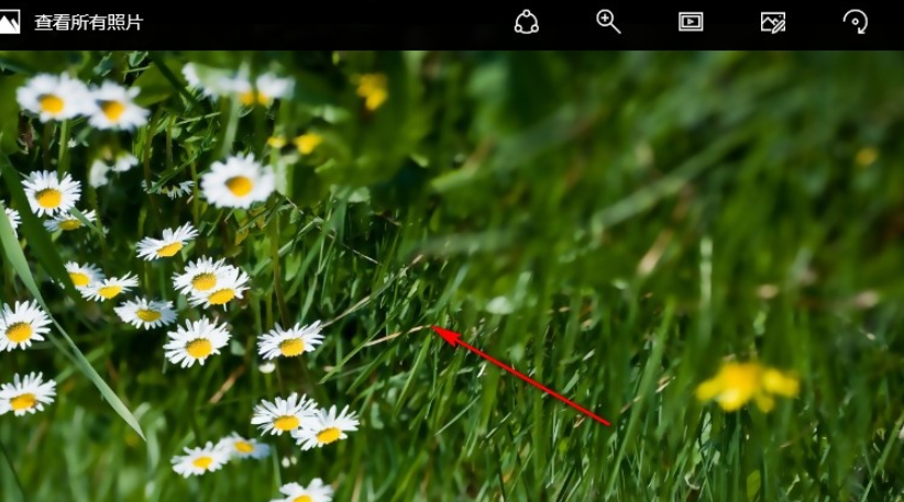 七彩色图片批量处理工具如何翻转图片？七彩色图片批量处理工具翻转图片设置教程分享截图