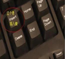 分享word文档打字时会消掉后面字怎么办