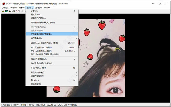 irfanview怎么调整图片大小?irfanview调整图片大小的方法截图