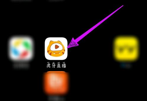 小编教你ipad怎么看虎牙直播回放。