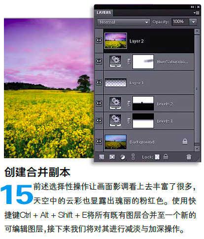 PS怎么调整油菜花图片的光线与色彩(14)