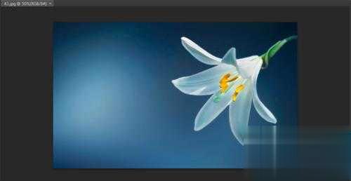 教你ps如何给照片制作对称的图案。