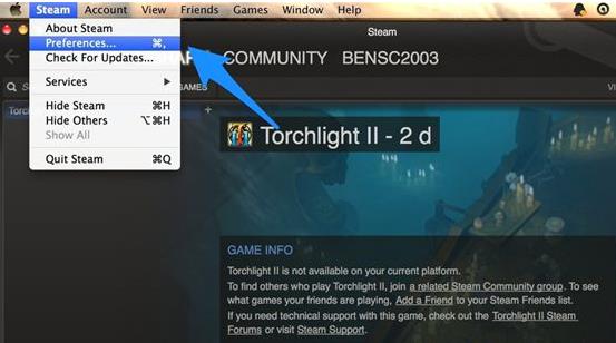 教你电脑如何设置Steam显示中文界面。