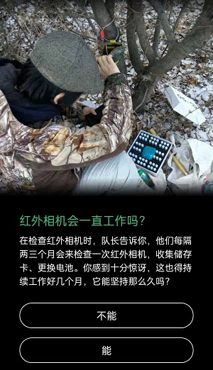 红外相机会一直工作吗