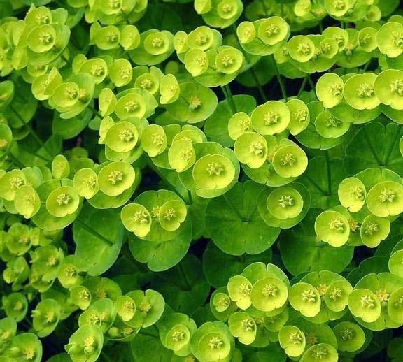 ps怎么复制粘贴图片部分内容